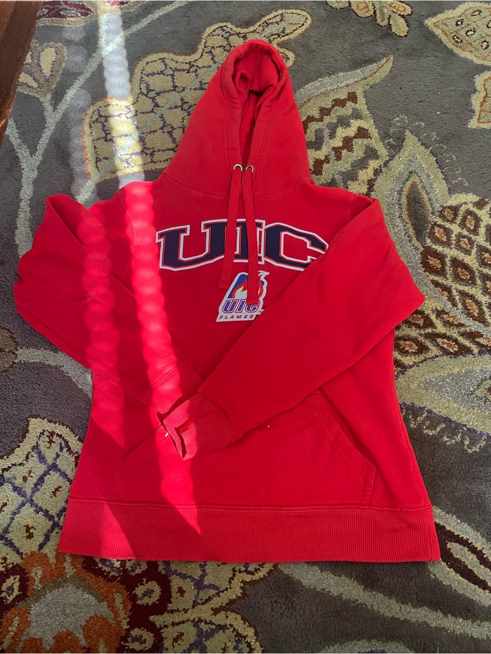 UIC Hoodie - University Apparel